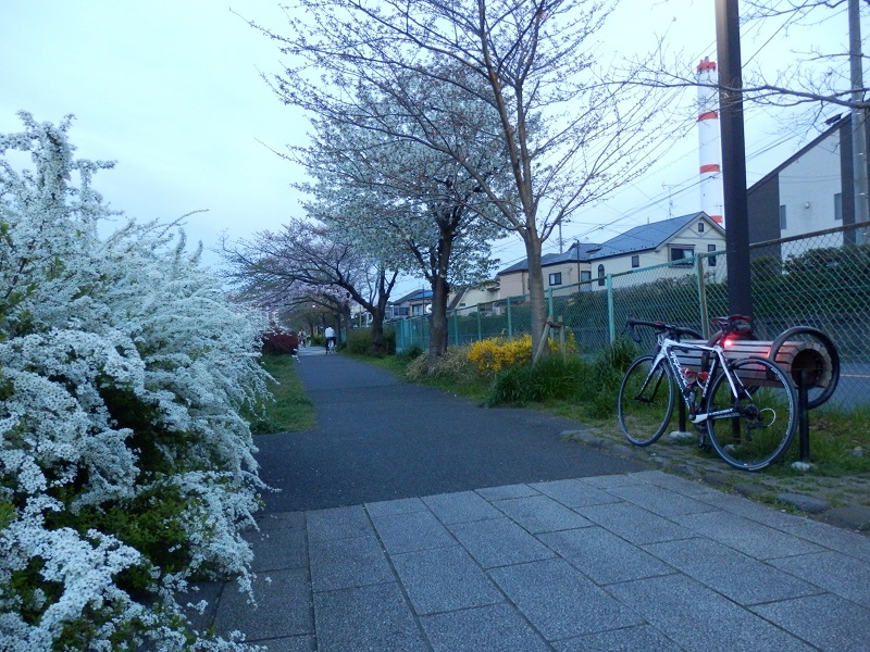 e0341417_21324292.jpg