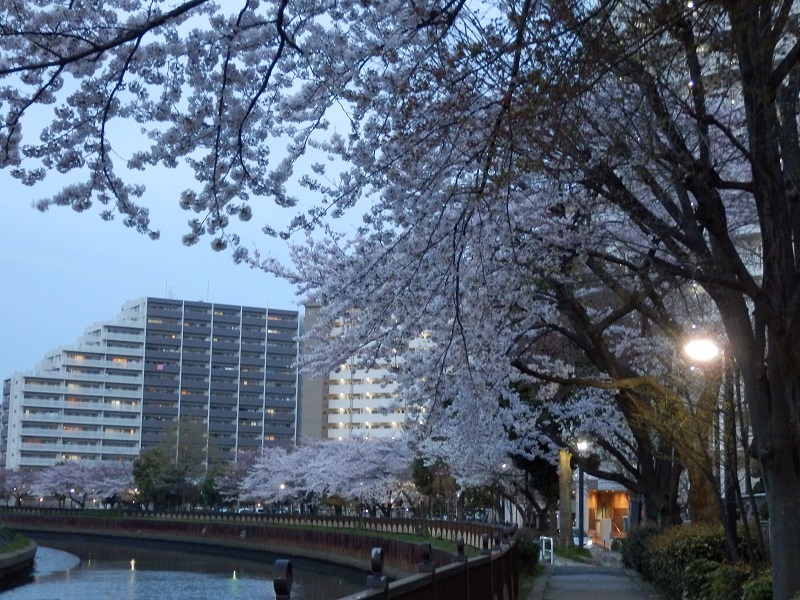 e0341417_21363702.jpg