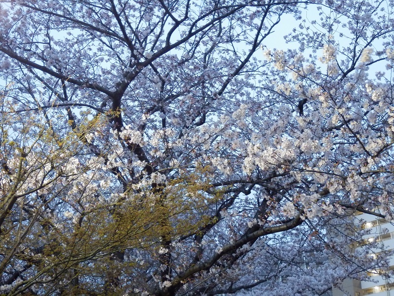 e0341417_21372801.jpg