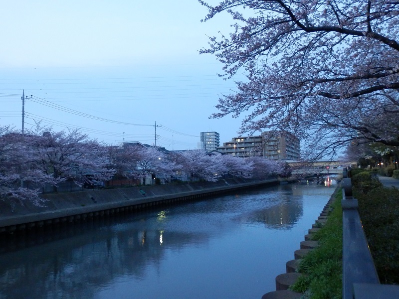 e0341417_21405389.jpg