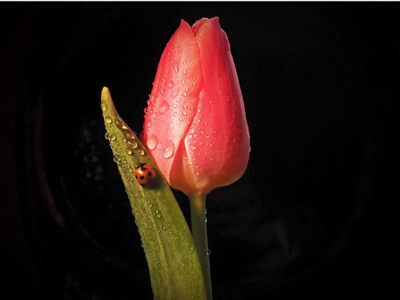 b0150018_10191339.png