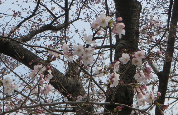 c0280322_23111609.jpg