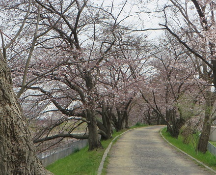 c0280322_23113948.jpg