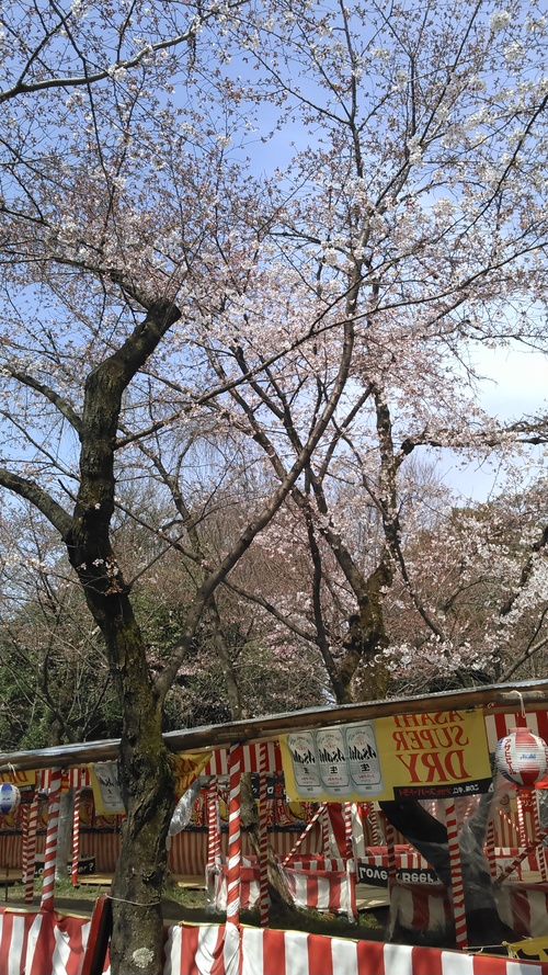 c0189724_2131223.jpg