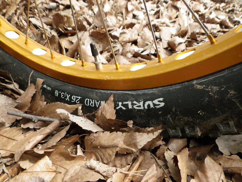 c0189724_2132810.jpg