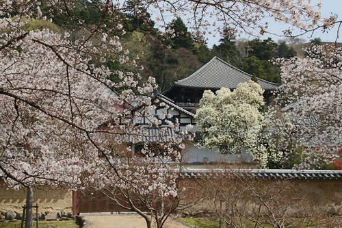 b0162728_2010044.jpg