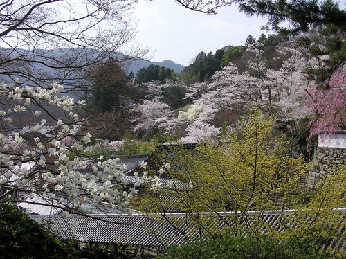 b0162728_20102533.jpg