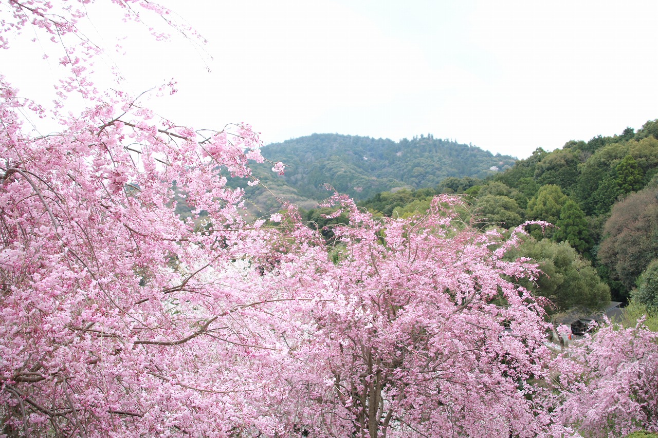 b0162728_2083910.jpg