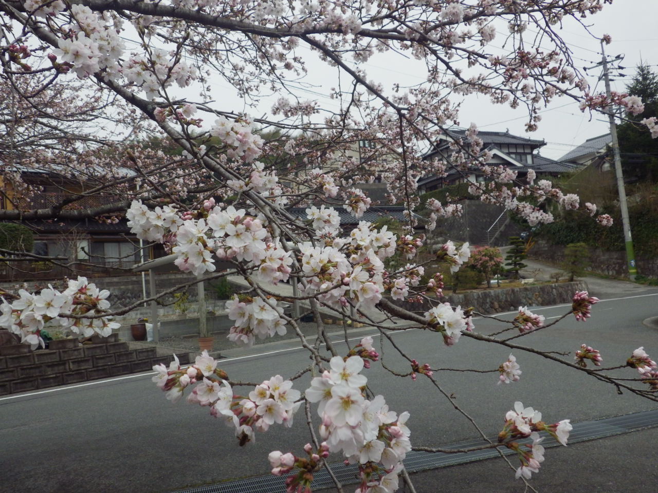 c0300035_16583649.jpg