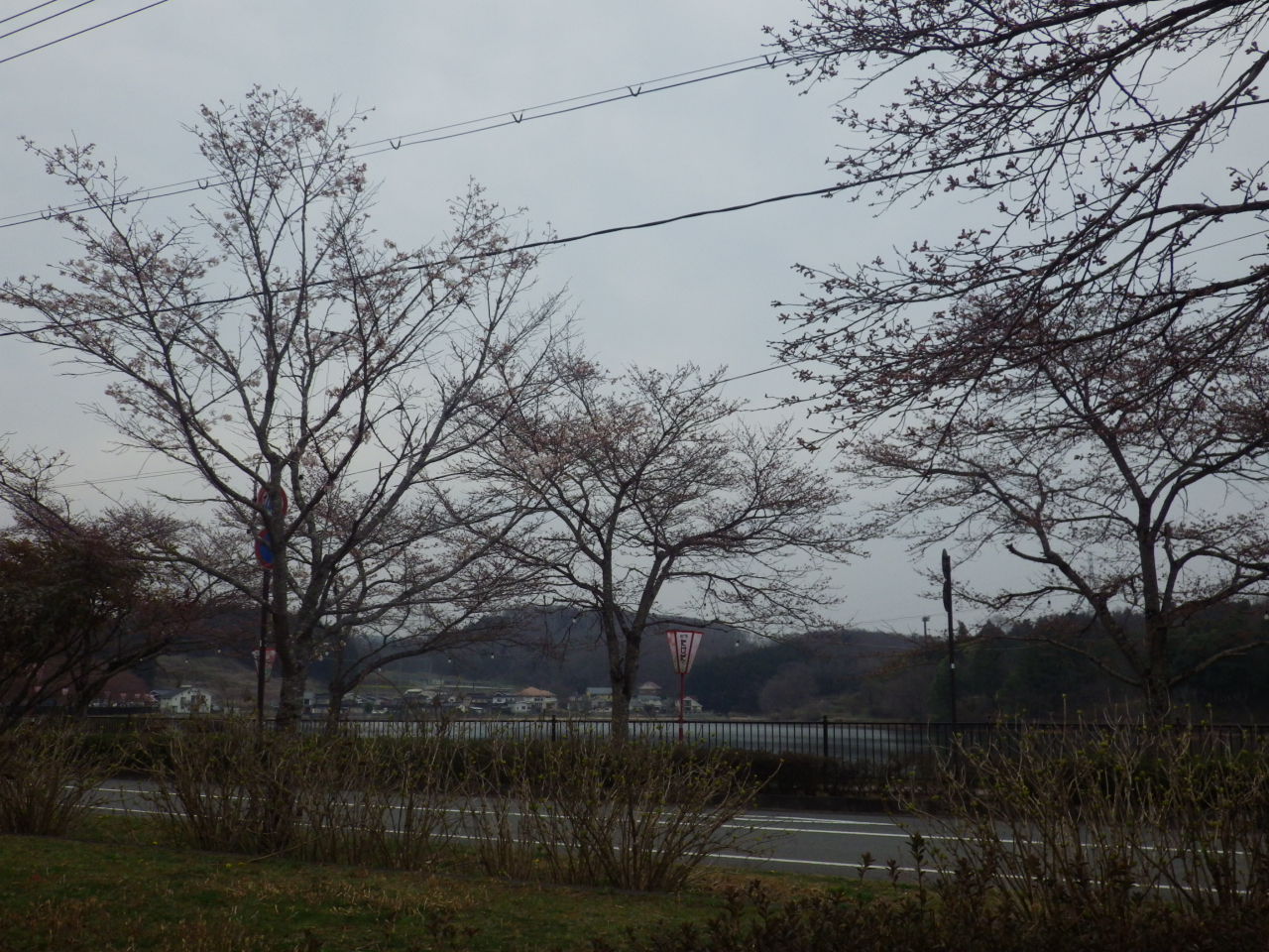 c0300035_1731835.jpg