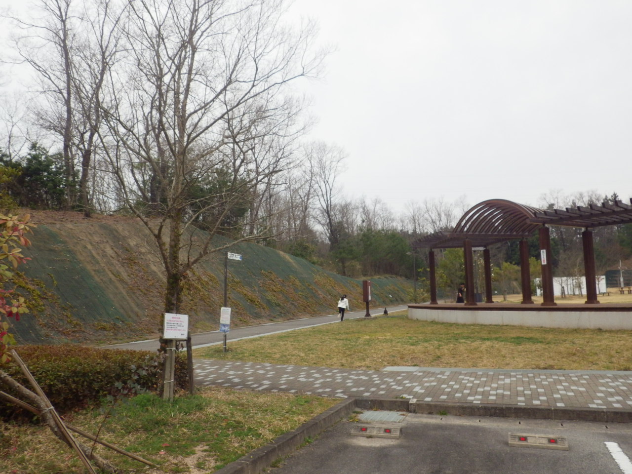 c0300035_1782076.jpg