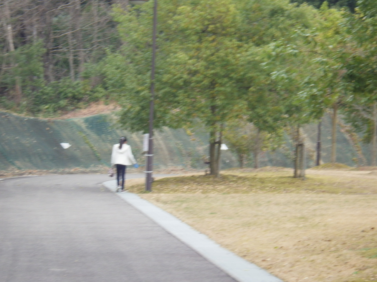 c0300035_1783929.jpg