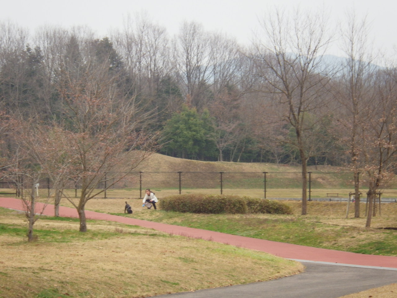c0300035_1785114.jpg