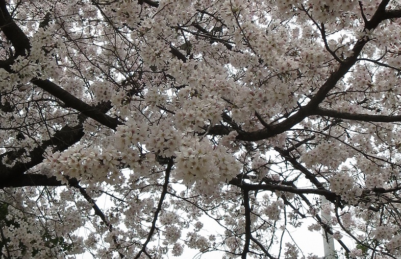 b0301236_09140525.jpg