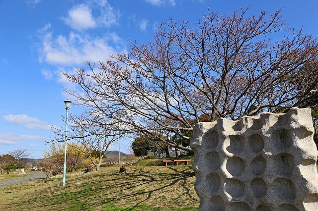a0242438_20183838.jpg