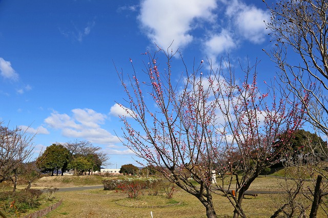 a0242438_20184447.jpg