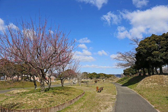 a0242438_2020784.jpg