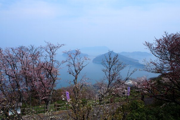 b0149340_20435112.jpg