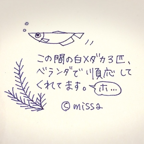 d0044143_00333102.jpeg