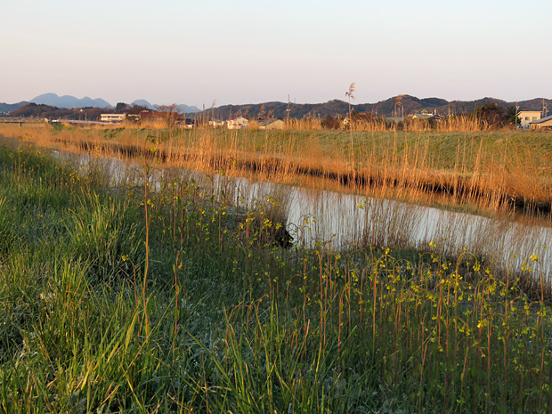 f0214649_4474238.jpg