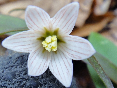 c0179351_11314073.jpg