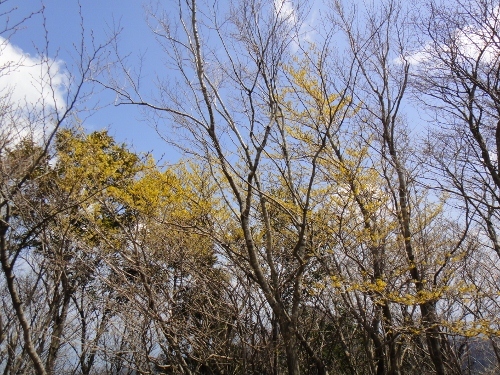 c0179351_11334278.jpg