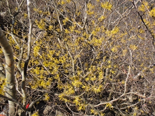 c0179351_11342934.jpg