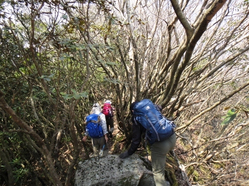 c0179351_11355652.jpg