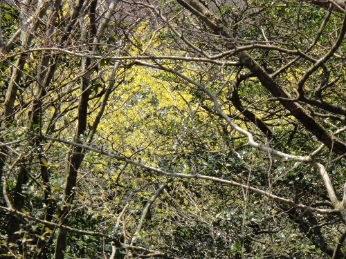 c0179351_11361227.jpg