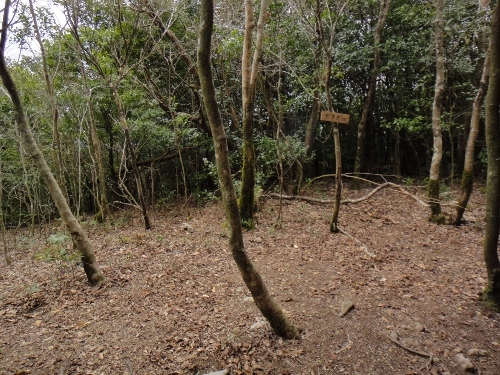c0179351_11362665.jpg
