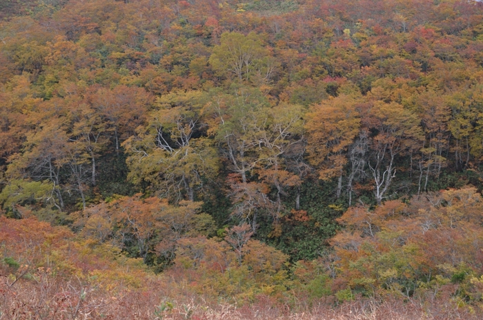 a0263952_20325123.jpg