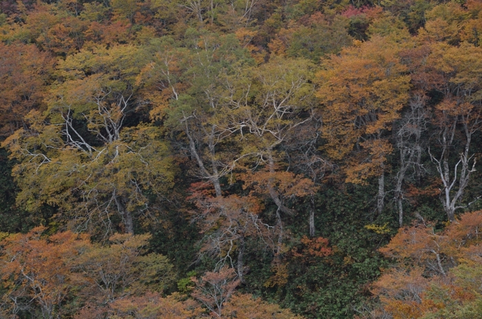 a0263952_20331323.jpg