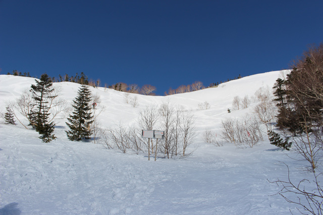 c0116856_21171150.jpg