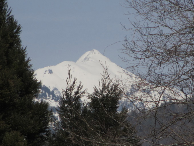 e0325357_229621.jpg