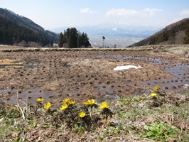 b0218664_1533025.jpg