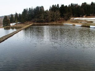b0079965_4513378.jpg