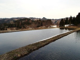 b0079965_4514671.jpg