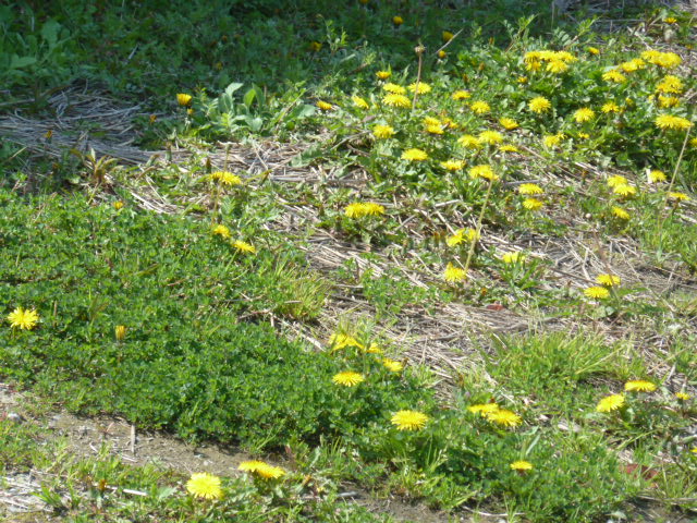 e0278968_211087.jpg