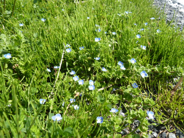 e0278968_2145585.jpg