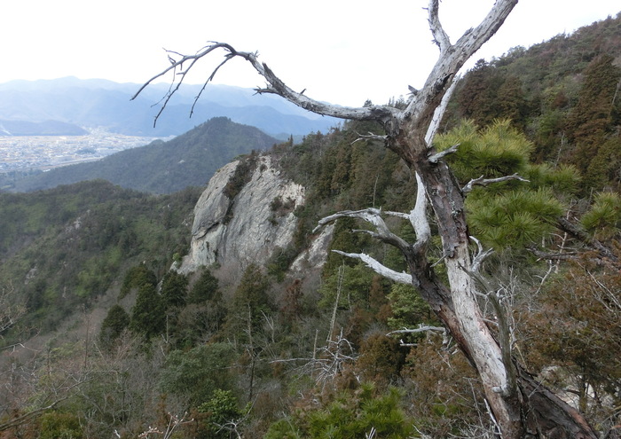 b0185573_751962.jpg