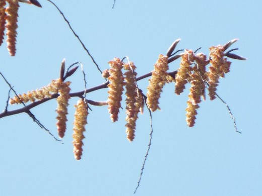 e0145782_1392952.jpg
