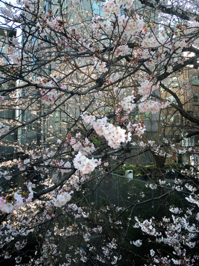 b0183483_13591640.jpg