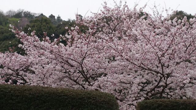 a0234185_22104123.jpg