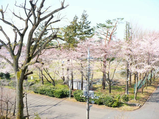 c0198685_1585962.jpg