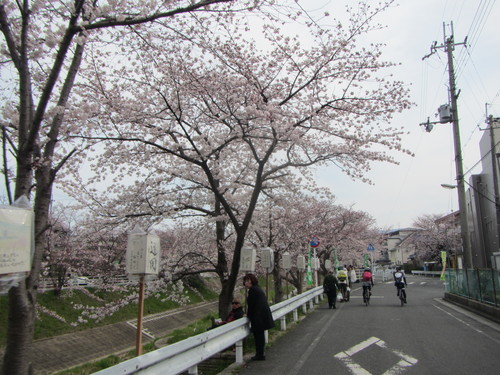 a0251786_23133138.jpg