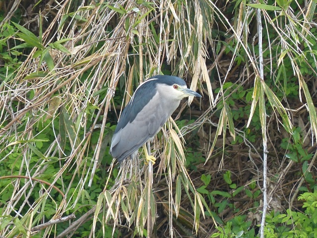 f0357487_20242051.jpg