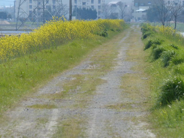 f0357487_21532736.jpg
