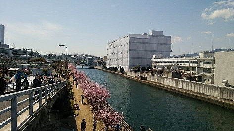 b0075888_18502370.jpg