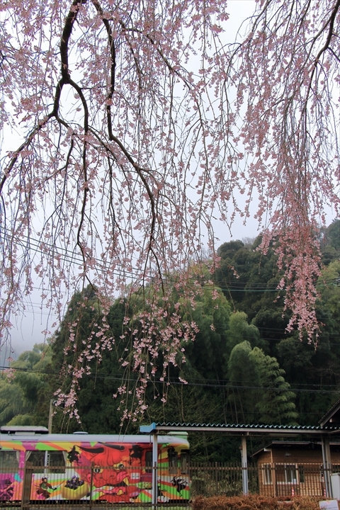 a0335890_17563059.jpg