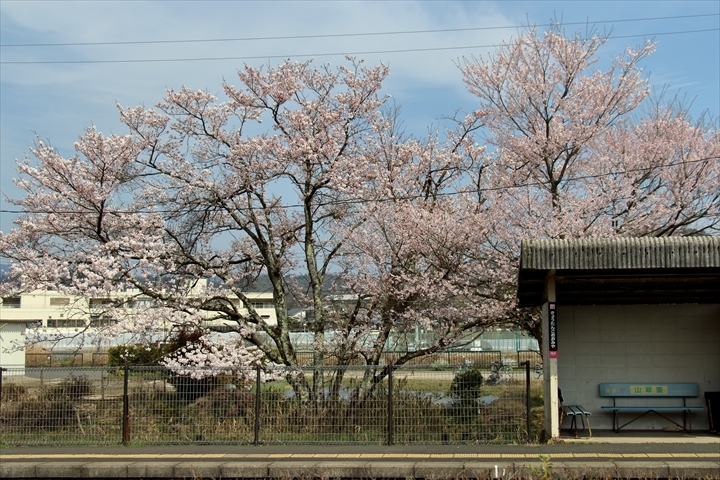 a0335890_18195828.jpg